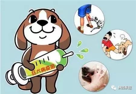 如何预防犬脑炎及如何预防犬脑炎的发生(如何预防犬脑炎的发生)