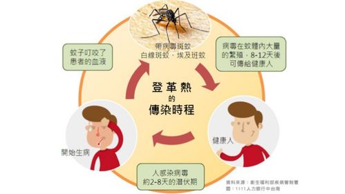 如何检查登革热？登革热的检查方法详解(登革热如何检查出来)