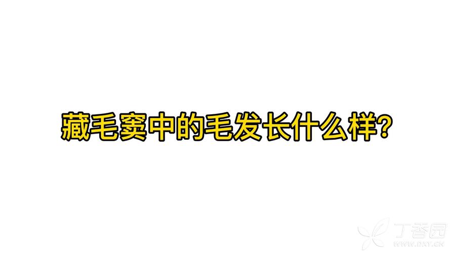 面毛如何清除的偏方及视频教程(面毛如何清除偏方视频)