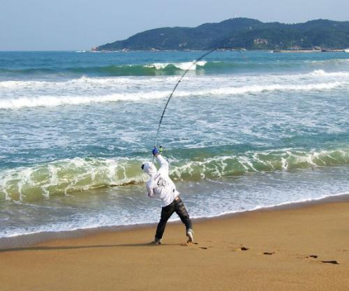 滩上钓鱼的正确方法？海草区如何钓鱼