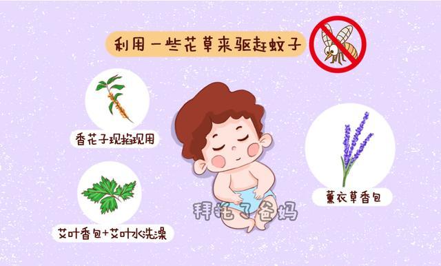 清除蚊子的妙招？如何驱除蚊子