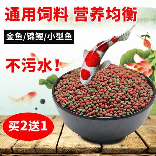 活鱼食怎么保存？如何保存鱼食