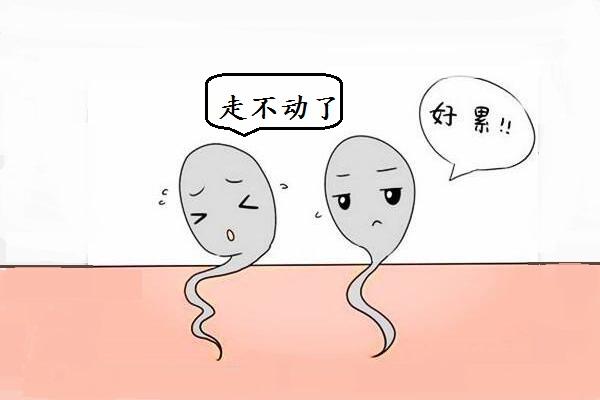 精子成活率低怎么食补呢？如何提高男性精子存活率