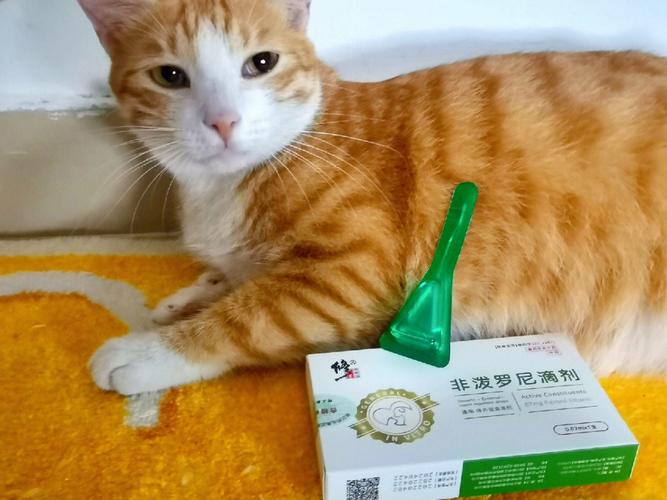 猫咪吃了狗狗专用的驱虫药USpertly对身体有害吗，宠物医院给拿的，很着急，很担心~？如何做狗?u