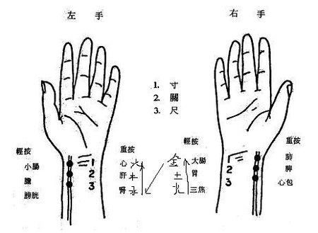 3寸怎么用手量？中医怎样找穴位如何用尺寸