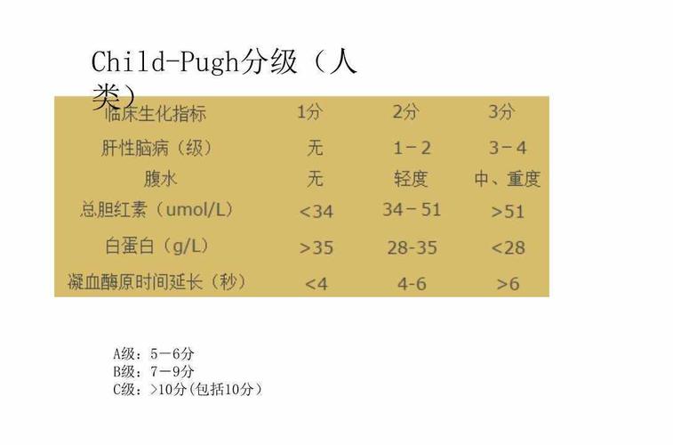 什么是child-pugh分级？肝脏质地如何分级