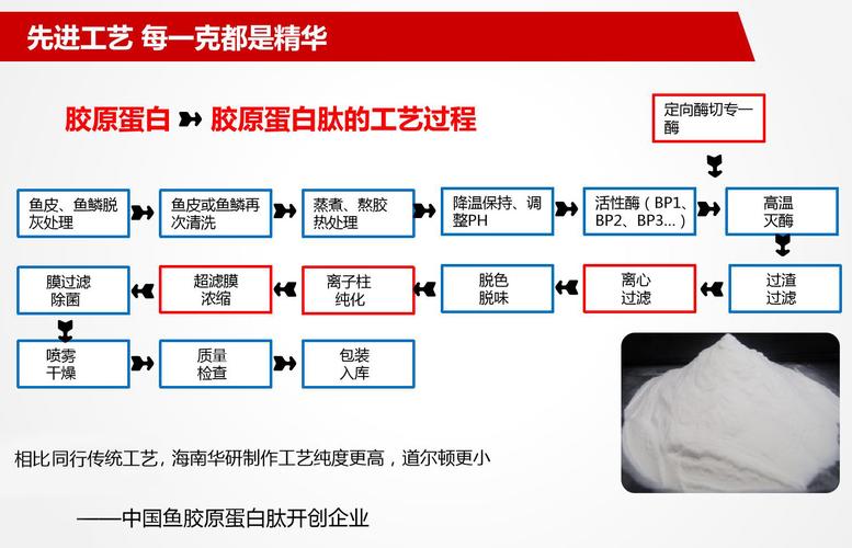 骨胶原的熬制方法？如何制作胶原蛋白