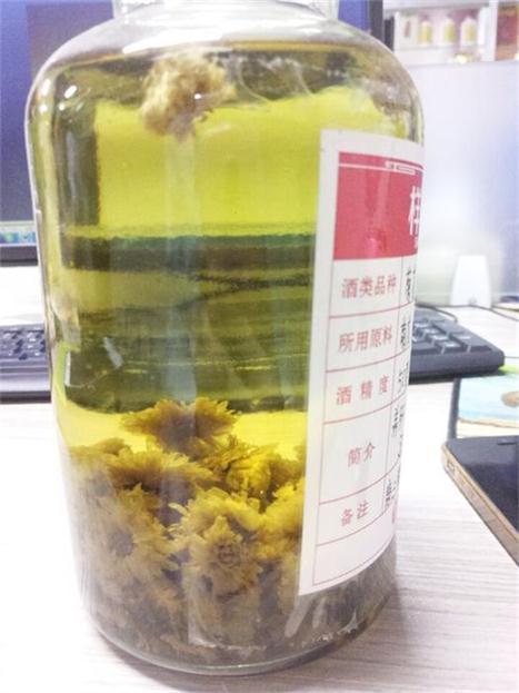 野菊花可以泡黄酒吗？如何用野菊花泡制白酒