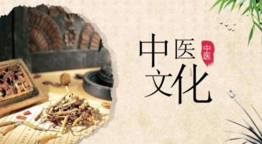 中医药文化的十大特点？你对中医学的特点是如何理解的