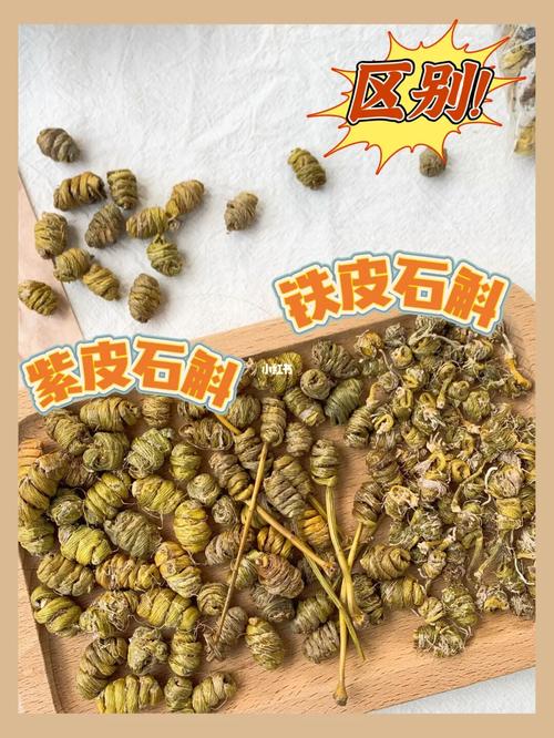 铁皮石斛种植三大类？铁皮石斛 紫皮石斛如何区分