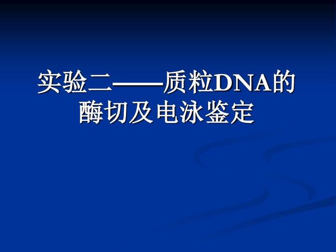 为什么酶切实验要求加样迅速,要在冰上进行操作？如何增加分解酶