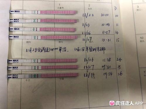 一共打了10000的绒促性素，多久代谢完？绒促性素如何使用