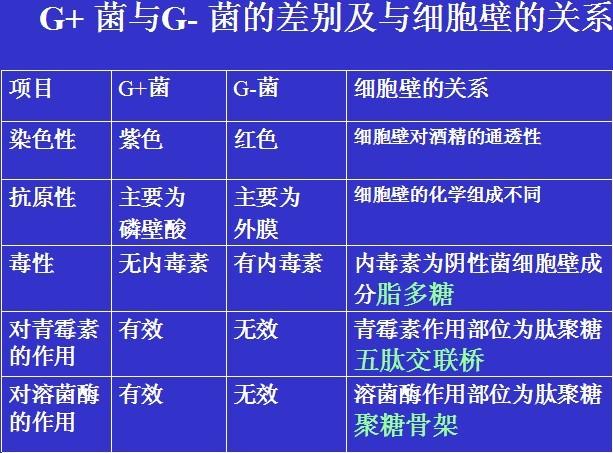 革兰氏阳性菌和革兰氏阴性菌的区别？如何区分革兰氏阴性菌和阳性