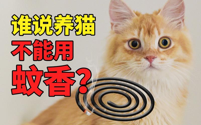 养猫不能点蚊香怎么驱蚊？如何对付猫蚊子