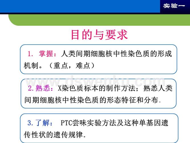 常染色质与异染色质的区别？如何检测异染色质