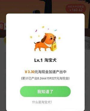 淘宝网狗狗怎么交易？淘宝上如何 买狗