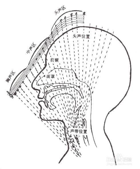 练嗓子发声的方法？如何颅腔共鸣