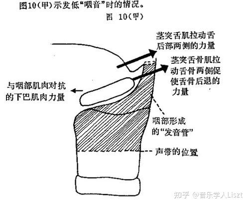 咽音如何练习？如何把喉头降低