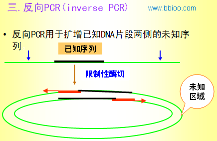 pcr基因克隆的详细过程？如何设计单链环状dna的反向引物