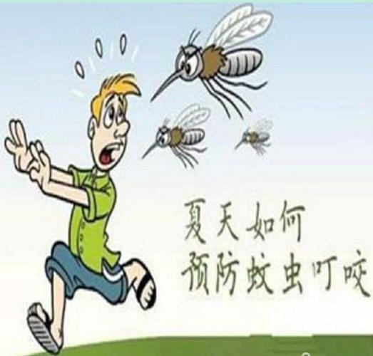 有什么办法让蚊子不咬你？如何防止蚊虫叮咬