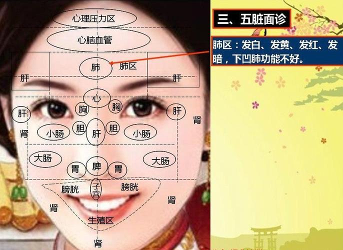 五官包含皮肤吗？中医如何进行五官保健