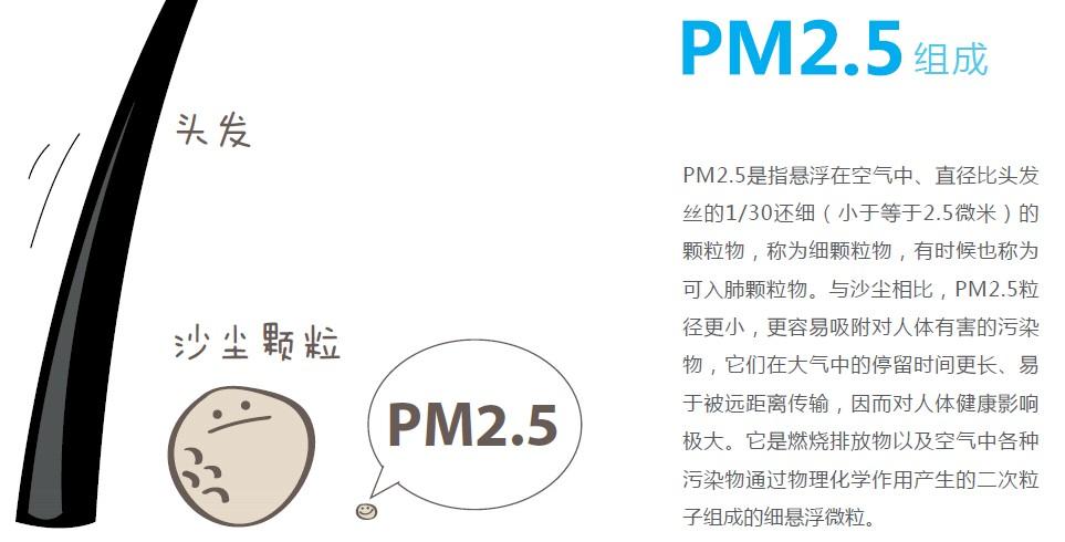 pm服务模式风险应对步骤？如何防范pm2.5