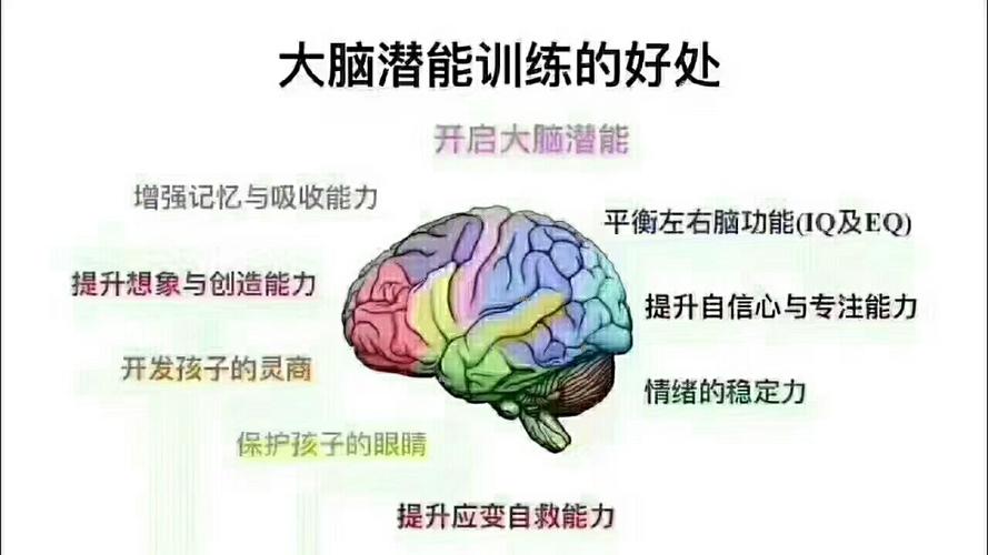 人类的大脑到底有多少潜能？我18岁，还能开发智商吗？怎么开发？如何开发人类大脑