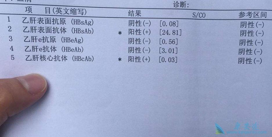 怎样才能知道乙肝有没有抗体呢？如何知道是否有乙肝抗体