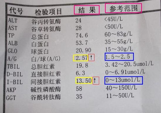 汉川人民医院检查肝功能结果查询？如何看肝功能报告单