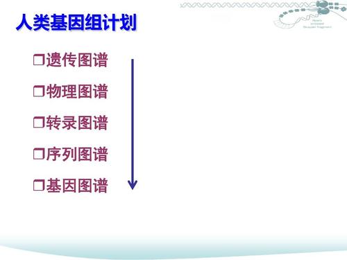 遗传图谱和物理图谱的区别？如何读酶切图谱