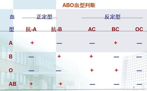 血型怎么化验？如何检测血型