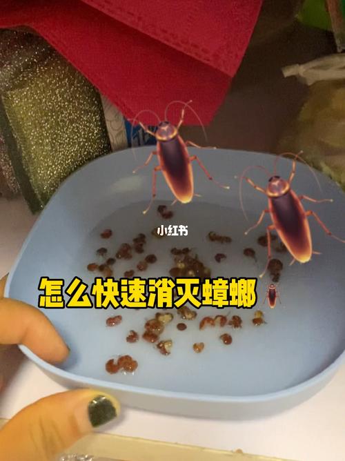 清除蟑螂最有效的方法？如何灭蟑螂最有效