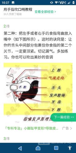 口哨怎么练？如何用口哨吹出音乐