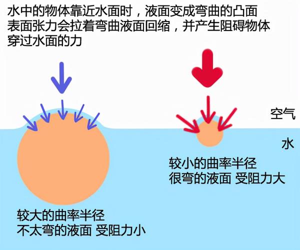 养殖水体张力大怎么降？如何降低水的表面张力