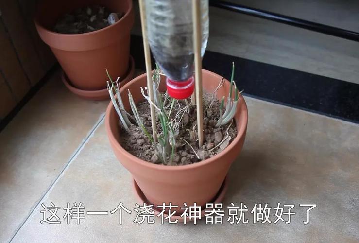 吸管自动浇花原理？如何自制自动浇花器