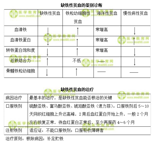 成人缺铁性贫血的症状诊断？如何判定缺铁性贫血