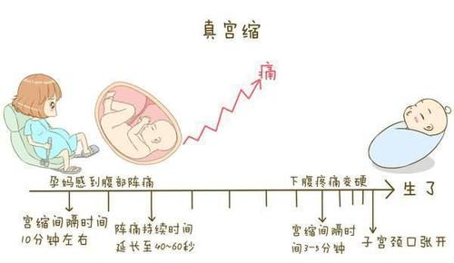 孕中期宫缩怎么办？孕25周宫缩是正常的吗？如何缓解孕中期宫缩