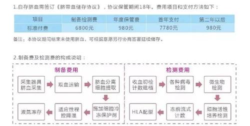 储存脐带血退款流程？如何申请保存脐带血