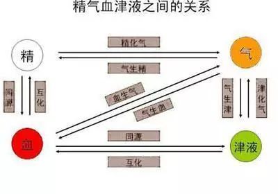 什么是气血循环？如何促进气血循环