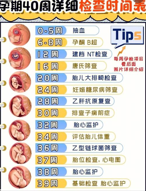 怀孕多少周怎么算？怀孕多长时间如何计算