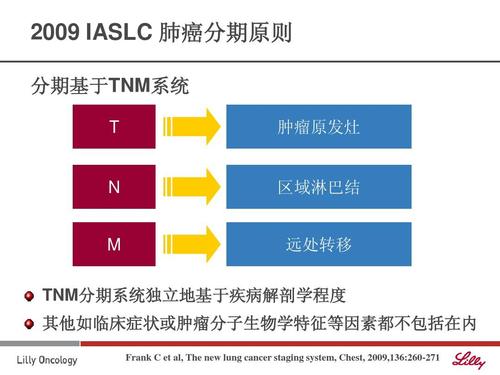 肺癌分为几期？肺鳞癌如何分期