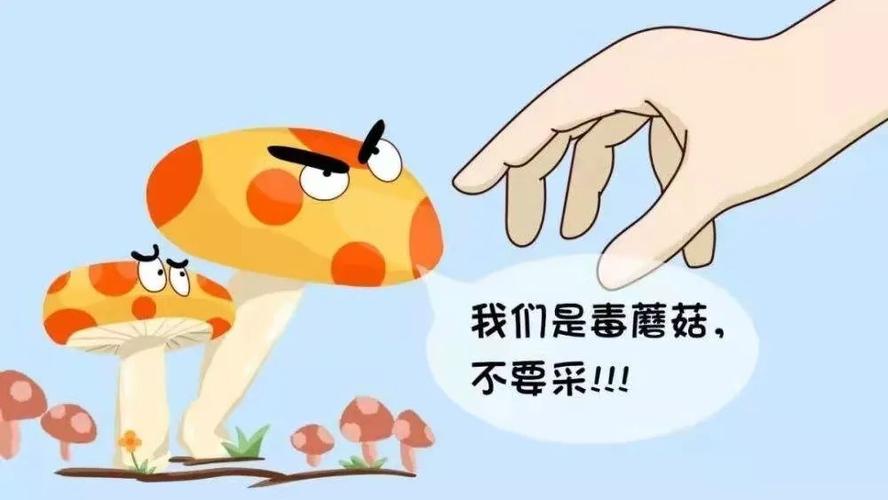 羊为什么不怕毒蘑菇？如何预防毒蘑菇中毒