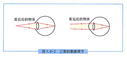 眼球是怎么知道物体的远近从而调节晶状体的，眼球会自动测量距离？谁能给个详细的解释？晶状体的曲度大小是如何调节的