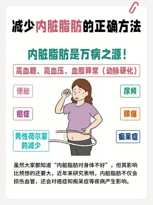 怎样减掉内脏脂肪？如何减内脏脂肪