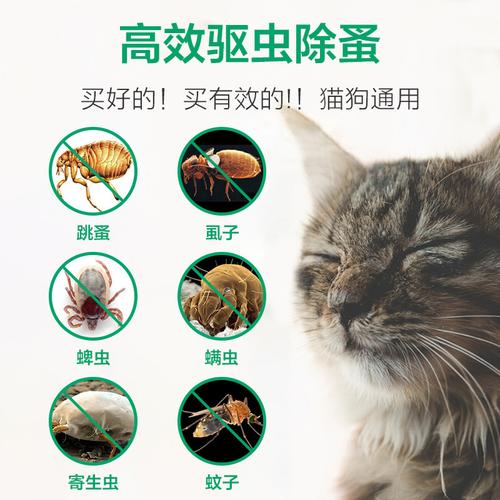 猫防跳蚤怎么办？如何不让猫长跳蚤