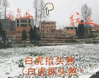 大师救命啊，虎高龙低怎么化解呢？白虎高过青龙 如何破解