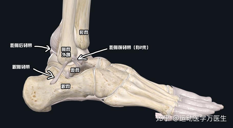 内侧副韧带损伤，消肿后多久彻底康复？脚踝韧带撕裂如何消肿