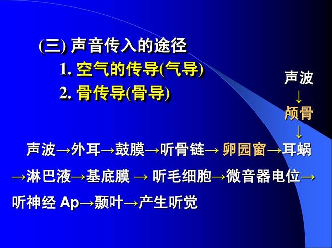 试述声波传入内耳的主要途径？声波在耳内如何传导