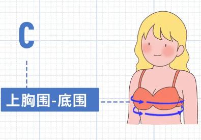 围度测量的正确方法？乳晕直径如何测量