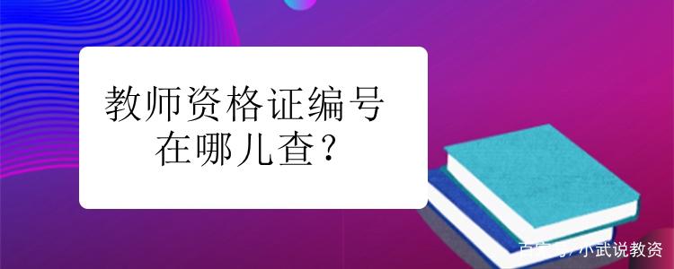 资质编号怎么填写？证书编码如何设置